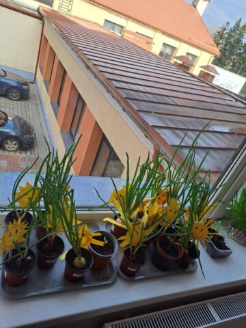 653814947_1448065847114287_6401551596717651357_n